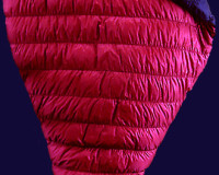 arc_alp_main